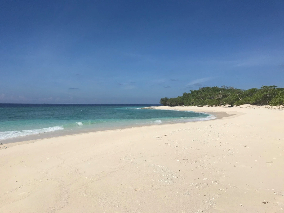 beach day time